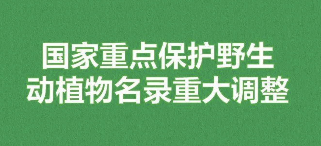 重磅！新版國(guó)家重點(diǎn)保護(hù)野生植物名錄公布，58種/屬列入一級(jí)保護(hù)，值得收藏